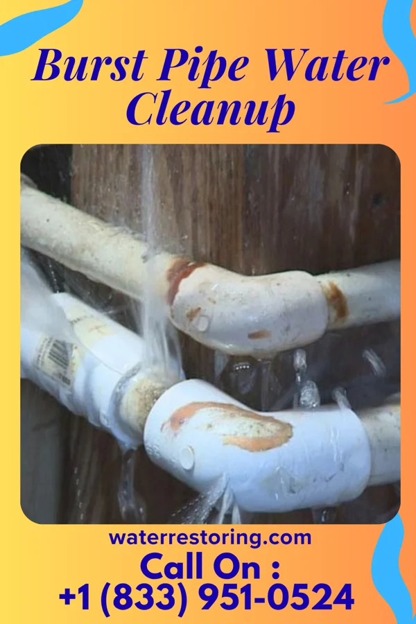 Burst Pipe Water Cleanup in Weiner, AR