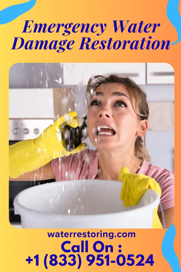 Emergency Water Damage Restoration in Weiner, AR