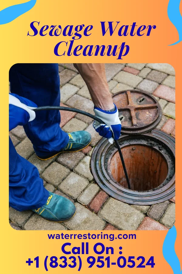 Sewage Water Cleanup in Weiner, AR